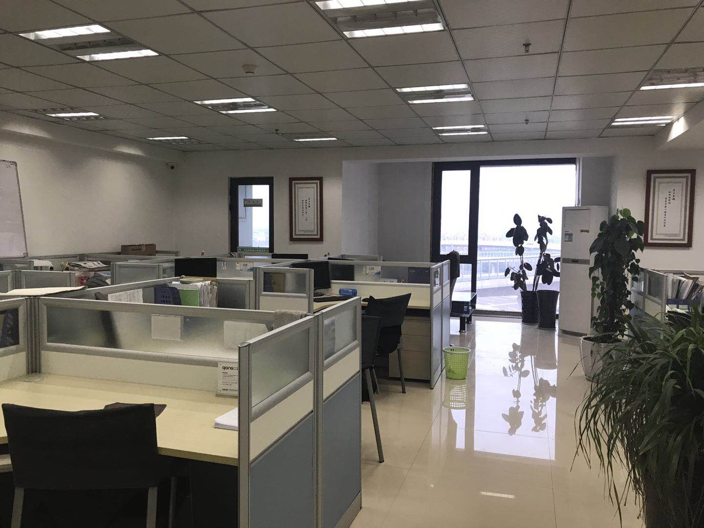 項目概況