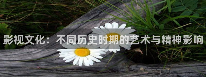 木瓜成人影院：影視文化：不同歷史時(shí)期的藝術(shù)與精神影響